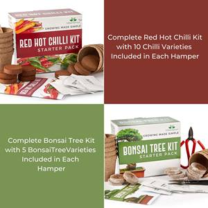 Cadeaux de jardinage de style campagnard bonsaï arbre piment Kit de culture sol outils de jardin tasse de savon cultiver votre propre piment bonsaï - Product Image 6