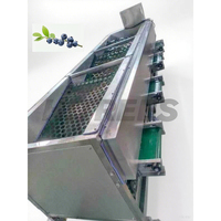 Professionele 304 Ss Bosbessen Sizer Machine Voor Grote Boerderijen