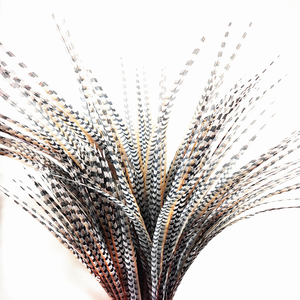 Plumas Artificiales Largas de Faisán, Colas de Faisán Teñidas y Blanqueadas de Fábrica, Plumas de Cola de Faisán Reeves Grandes y Económicas, Plumas de Faisán - Product Image 2