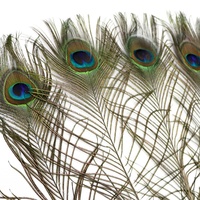Vente en gros de plumes de queue de paon 70-80cm motif brut plume artisanat pour les spectacles carnavals arrangements floraux