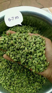 1 kg de cardamome indienne naturelle, pure, séchée, de couleur verte, pour les plats et les <span class=keywords><strong>épices</strong></span> - Product Image 4