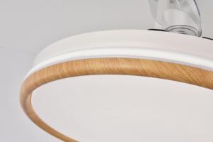 Top Rated Ceiling <b>Fan</b> Manufacturers Focus on OEM ODM Smart DC Motor Ceiling <b>Fans</b> <b>with</b> Integrated LED Light Kit - Product Image 4