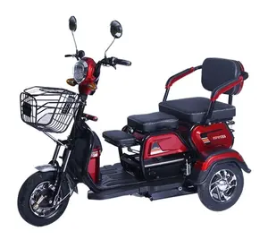 Triciclo eléctrico de 500W para pasajeros adultos y carga Durable Trike de 3 ruedas