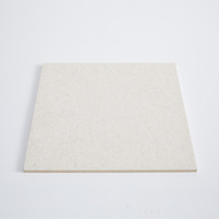 Panneau de plafond et revêtement de latte en fibre de ciment de 6mm 12mm