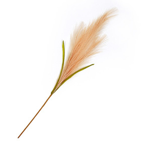 ผู้ผลิตของตกแต่ง ต้นหญ้าแพมพัสก้านยาวสีเบจสุดหรู ของตกแต่งเทศกาลอีสเตอร์ ฉากหลังสีสันสดใส ต้นไม้<span class=keywords><strong>ประดิษฐ์</strong></span>แบบแขวน - Product Image 6