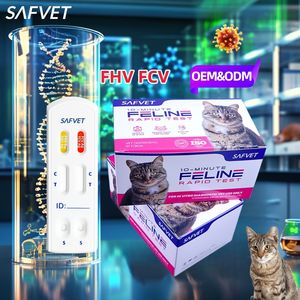 고양이 Fcv Fhv 테스트 헤르페스 바이러스 및 칼시 브루스 고양이 신속 테스트 카세트 고양이를위한 Fhv/Fcv Ag 신속 테스트 키트 - Product Image 1