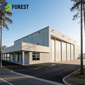 Hangar de Aviones con Estructura de Acero Industrial de Diseño Moderno, Instalación Rápida para Aviones Comerciales, Listo para Enviar - Product Image 1