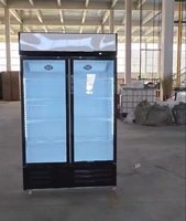 Vitrine Réfrigérée Verticale 300L HUNAYU, Meilleure Vente, Réfrigérateur Électrique Économique, Vitrine de Présentation pour Crèmes Glacées et Boissons, Congélateur de Présentation