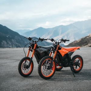 Motocicleta de Aventura de Alta Velocidad de 60V 3500W y 60KM/H para Carretera con Motor sin Escobillas y Batería de Litio - Product Image 1