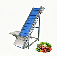 Automatisch hefplatform voor groenten en fruit van roestvrij staal 304, op maat gemaakte motor, hoge capaciteit (500-2000kg/uur) voor voedselverwerking