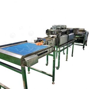 Máquina automática de lavado y rotura de huevos Línea de producción de secado de rodillos de cepillo para ventas al por mayor - Product Image 2