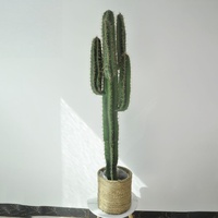 Grands Cactus Artificiels Réalistes avec Pot pour Décoration Intérieure