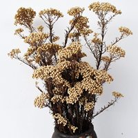 HFlora 100g/bundel Natuurlijke Echte Decoratieve Ge conserveerde Rijstbloem Gedroogd Bloemboeket Huis Bruiloft Feest Moederdag Langdurig 3-5 dagen