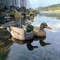 Décoy de canard colvert réaliste en plastique PE, flottant, pour la chasse, simulation d'oiseau, léger, pour extérieur et aménagement paysager
