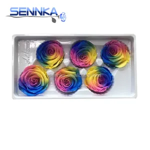ขนาดที่ดีที่สุด rainbow 5-6 ซม.multicolor กุหลาบที่เก็บรักษาไว้สำหรับดอกไม้ของขวัญกล่อง