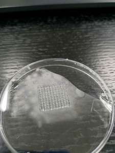 Technologies <span class=keywords><strong>de</strong></span> bioprinting 3D propriétaires, modèles <span class=keywords><strong>de</strong></span> dépistage <span class=keywords><strong>de</strong></span> médicaments in vitro, <span class=keywords><strong>prix</strong></span> <span class=keywords><strong>de</strong></span> l'imprimante bioprinting 3D - Product Image 5