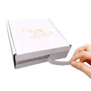 adhesive tape mailer box Quality New Design Exquisite Supplier Cardboard Packaging Box recyclable shipping box