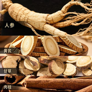 Huancuilou 1736 Ginseng Roter Ginseng Astragalus Protein-Peptid Yuan Sportnahrungsergänzung - Product Image 3