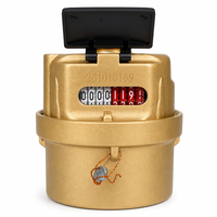 Compteur d'eau volumétrique vertical en laiton à raccordement à bride, protection IP66, application domestique OEM
