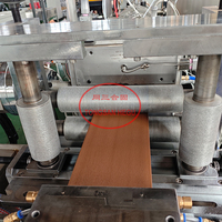 TONGSANHEGU plástico reciclado HDPE WPC tablero de suelo línea de extrusión en relieve al aire libre WPC máquina Post/revestimiento extrusora