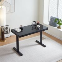 Bureau debout électrique ergonomique moderne en métal, réglable en hauteur, idéal pour le bureau et la maison – Nouveauté très prisée