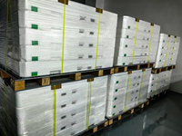 Panel de TV de Célula Abierta de 24 32 40 49 50 55 58 65 75 85 86 98 Pulgadas para Repuestos de Pantalla de TV Samsung LG Sony Hisense ST9751D01-4