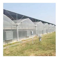 Serre agricole multi-chapelles complète avec système hydroponique NFT pour cocopeat, système de refroidissement et système d'ombrage