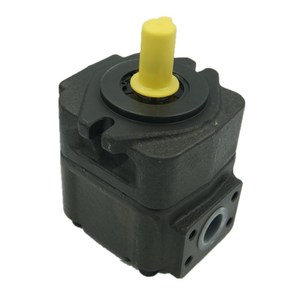 ปั๊มใบพัดเดี่ยวรุ่น DVQ DVQ20 DVQ25 ซีรีส์ DVQ20-14-F-RAB-02 DVQ20-17-F-RAB - Product Image 4