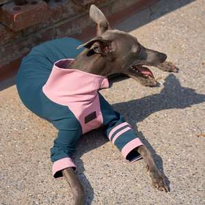 Lujo comodidad algodón perro Onesie sudadera personalizado <span class=keywords><strong>galgo</strong></span> mameluco ropa para mascotas pequeñas medianas grandes lavable a máquina verano - Product Image 4