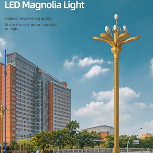โคมไฟ LED แบบรวม ตัวโคมทำจากอลูมิเนียมอัลลอยด์ รูปทรงแปดเหลี่ยม เคลือบสีฝุ่น ทนลมแรง 180 กม./ชม. รับประกัน 10 ปี สำหรับใช้งานบนทางหลวงและที่อยู่อาศัย - Product Image 6