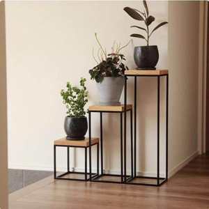 Support de fleurs bas en bois massif et fer forgé, style contemporain, pour salon, table console dorée, idéal pour bonsaï et ornements - Product Image 2