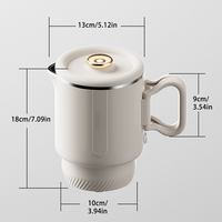 Bouilloire électrique portable extérieure de voyage en acier inoxydable tasse d'eau chaude marmite avec contrôle mécanique