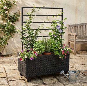 Support de plante en osier amovible à l'aspect naturel pour jardin extérieur, balcon, véranda, mobilier de jardin avec cadre en acier durable thermolaqué - Product Image 5