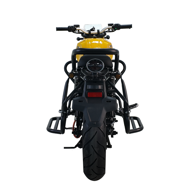 D300 Electric Vehicle China Factory Wholesale 2000W 60km/h Electric Off-road Motorcycle Electric Motorcycle