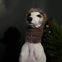 Vente flash Noël : adorable bonnet de Noël en tricot rouge pour chien, accessoires vestimentaires pour animaux de compagnie