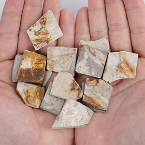 Lycoptera Fragment fossils | <span class=keywords><strong>ปลา</strong></span>ครีเทเชียสยังคง | เหมาะสำหรับการศึกษา Micro-paleontology - Product Image 6