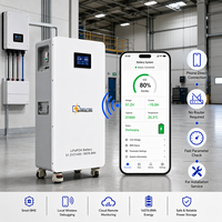 Batería de Litio LiFePO4 de 51.2V 314Ah 48V, 16kWh 15kWh 10kWh, con BMS Inteligente, WiFi y Monitoreo en la Nube, para Respaldo de Energía Solar Doméstica, en Stock en Polonia, UE