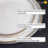 Service de table nordique 16 pièces en grès céramique de luxe, motif à pois vaporisés par technique givrée, avec bols à soupe