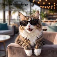 Lunettes de soleil PP à monture carrée irrégulière pour chats et chiens – Style original, accessoire photo – Best-seller transfrontalier