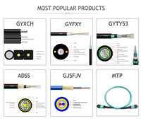 Hot-sales GYTA 2 4 6 8 12 24 36 48 72 96 144 288 Core G652D SM Cable de fibra óptica blindado de tubo suelto trenzado