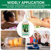 Huile d'Eucalyptus en Gros pour Diffuseur, Massage, Soins de la Peau, Aromathérapie – Huiles Essentielles Biologiques Distillées à la Vapeur (OEM/ODM)