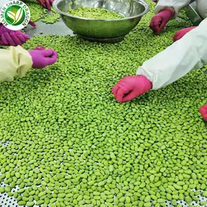A Grade Frozen IQF Organic Best Edamame Peeled Shelled Soya Bean Podded Kernels In The Pods 10 Kg A Bag Packaging China OEM Bulk