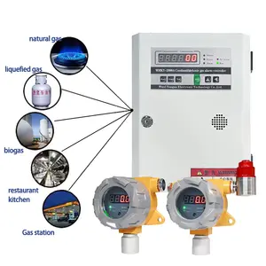 Atex Vaste Gasdetector Ch4 Sensor Met Alarm Licht Methaan Gaslek Detector Alarm Lel Brandbaar Gas Detector