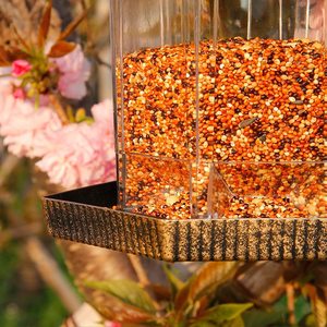 Ngoài trời treo <span class=keywords><strong>Bird</strong></span> Feeder với đứng cực Hoang Dã <span class=keywords><strong>Bird</strong></span> Feeder ngoài trời treo cho sân vườn trang trí kim loại bát 200 T/T - Product Image 5