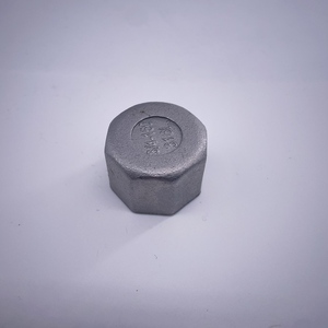 SS304 SS316 lắp ống 1/2 inch 3/4 inch BSP NPT nữ chủ đề Hex cắm thép không gỉ Hex nắp ống cho hệ thống ống nước - Product Image 2