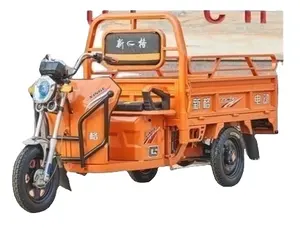 Durevole 1000W 48V triciclo elettrico Cargo 3 ruote E-Bike moto aperto adulti a buon mercato E-Trikes 3 ruote camionista passeggero