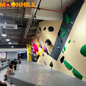 <span class=keywords><strong>Mur</strong></span> d'<span class=keywords><strong>escalade</strong></span> professionnel pour salle de bouldering, conception personnalisée de panneaux d'<span class=keywords><strong>escalade</strong></span>, prises d'<span class=keywords><strong>escalade</strong></span> pour exercices - Product Image 3