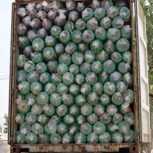 Lưới <span class=keywords><strong>raschel</strong></span> malla <span class=keywords><strong>raschel</strong></span> malla sombra mallas cắm trại mallas <span class=keywords><strong>raschel</strong></span> 50% - Product Image 4