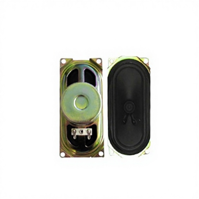 Factory 57 * 126mm Good Sound Loudspeaker Unit 8ohm 10w Internal Speaker for TV