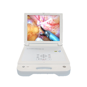 Cámara <span class=keywords><strong>de</strong></span> Endoscopia Portátil <span class=keywords><strong>de</strong></span> 17 Pulgadas, Asequible, Integrada, Full HD, con Monitor Médico, Sistema <span class=keywords><strong>de</strong></span> Endoscopia Quirúrgica 1080P, <span class=keywords><strong>Precio</strong></span> - Product Image 1